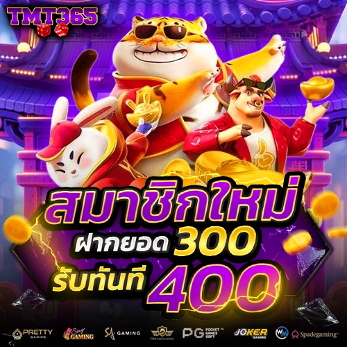 tmt365 ทางเข้า